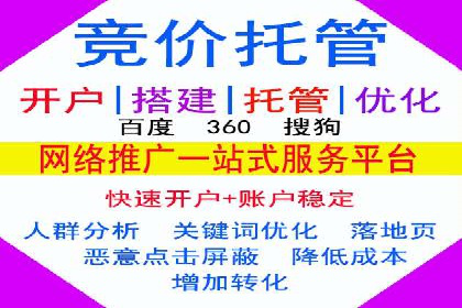 网络推广与竞价广告：双管齐下的策略案例
